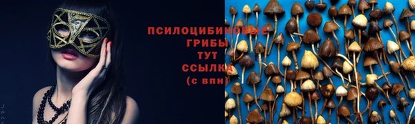 гидропоника Белоозёрский